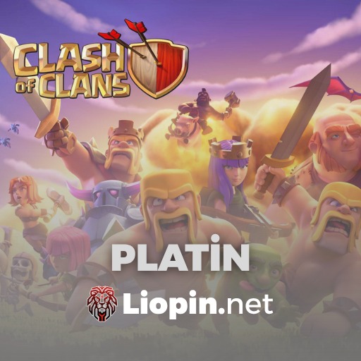 Platin Hesap